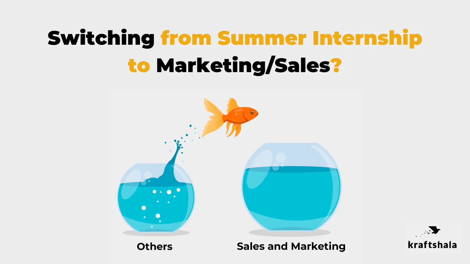 How to Switch to Sales and Marketing After Your Summer Internship?